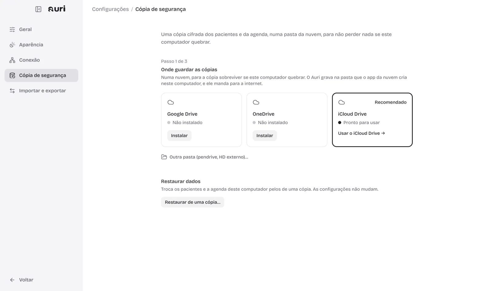 Tela do Auri: seus dados, no seu computador, no tema claro