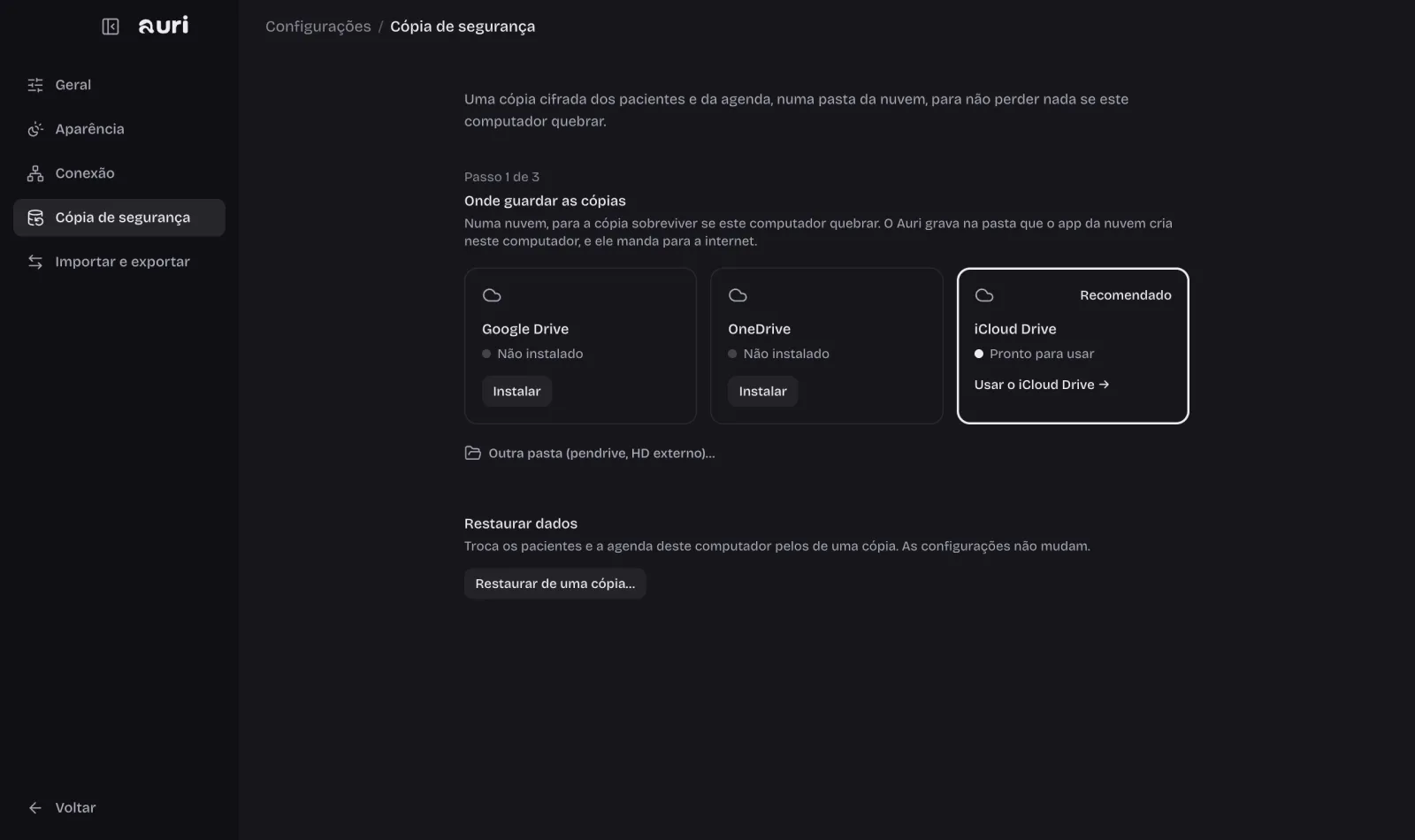 Tela do Auri: seus dados, no seu computador, no tema escuro